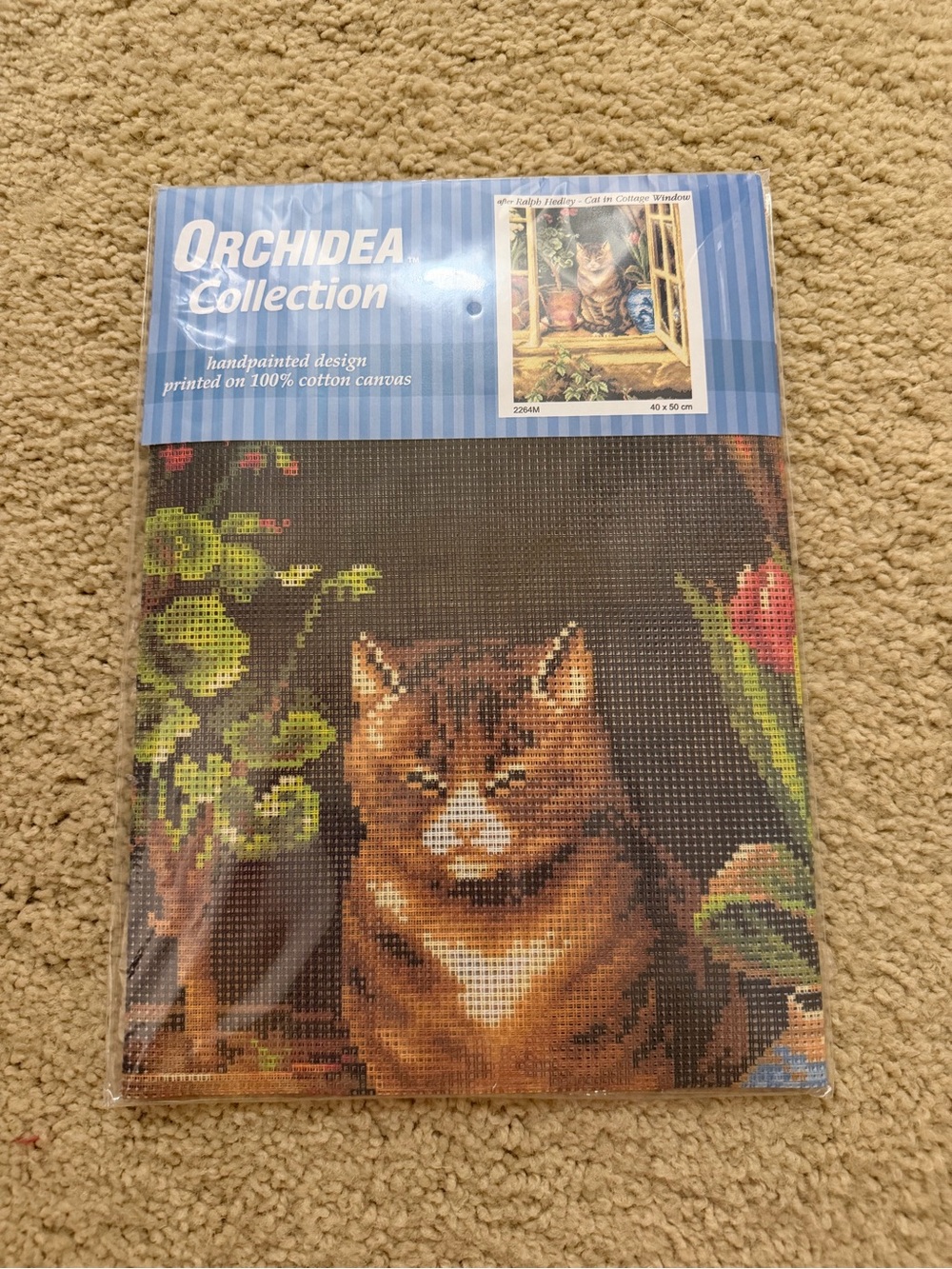 Brown Cat Printed Canvas - Home Art